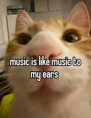 Faye uwu (@sc2faye) on Twitter photo 