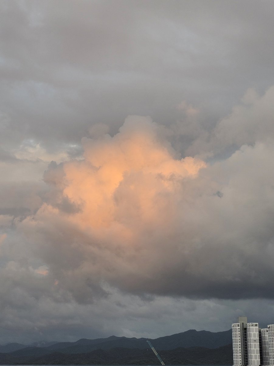 8월의 저녁 구름☁️
이제 제법 시원한 바람이 부네
한 일주일 고생하면 가을이겠구나