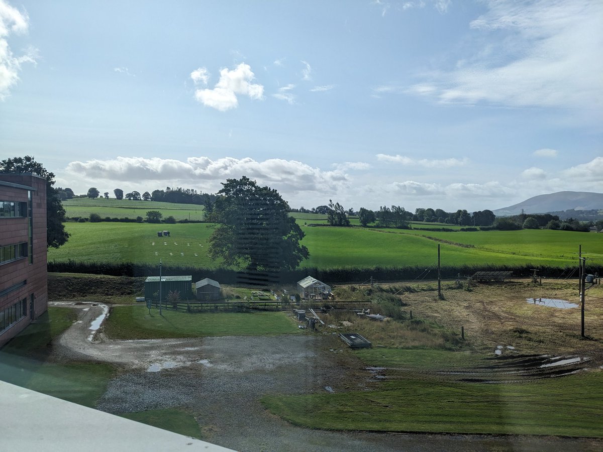 Craig (@craigsimtech) on Twitter photo Enjoying the morning in sunny Dumfries! ☀️ <a href="/UWS_DFS_Skills/">UWS Simulated Healthcare Suite (Dumfries Campus)</a> Enjoying the morning in sunny Dumfries! ☀️ <a href="/UWS_DFS_Skills/">UWS Simulated Healthcare Suite (Dumfries Campus)</a>