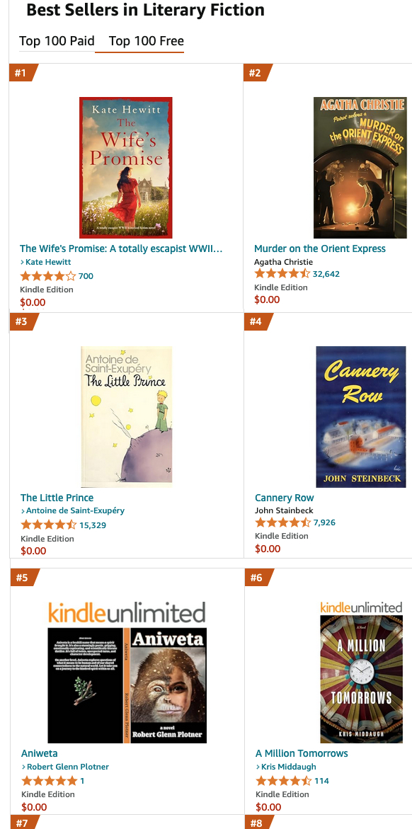 rgplotner's tweet image. Thrilled to see my 1 day free promo for my thriller ANIWETA rec more than 1000 downloads &amp;amp; sudden rise on the Kindle charts to No.2 (Contemporary American Fiction) and No.5 (Literary fiction) next to Christie, Steinbeck, &amp;amp; ahead of Orwell. Wow! TY! #books