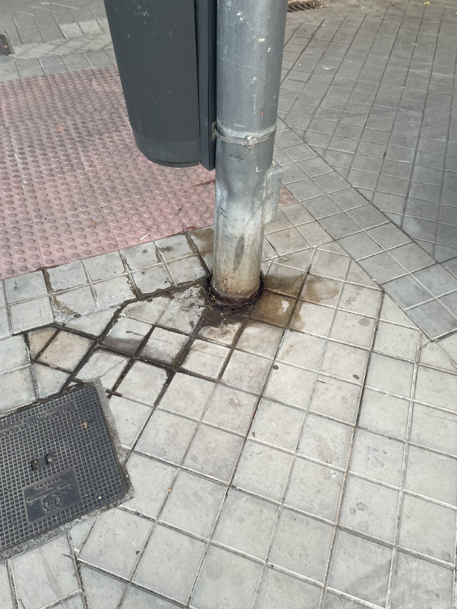 rafamorente's tweet photo. @Granada_Limpia estado de la Calle Aconcagua y Ojos del Salado, el edor a orines de perros es insoportable con el calor, además de la proliferación de vegetación en las aceras. Sería de agradecer por favor una actuación con hidrolimpiadoras y desinfección por esta zona. Gracias https://t.co/8EfswBzM45