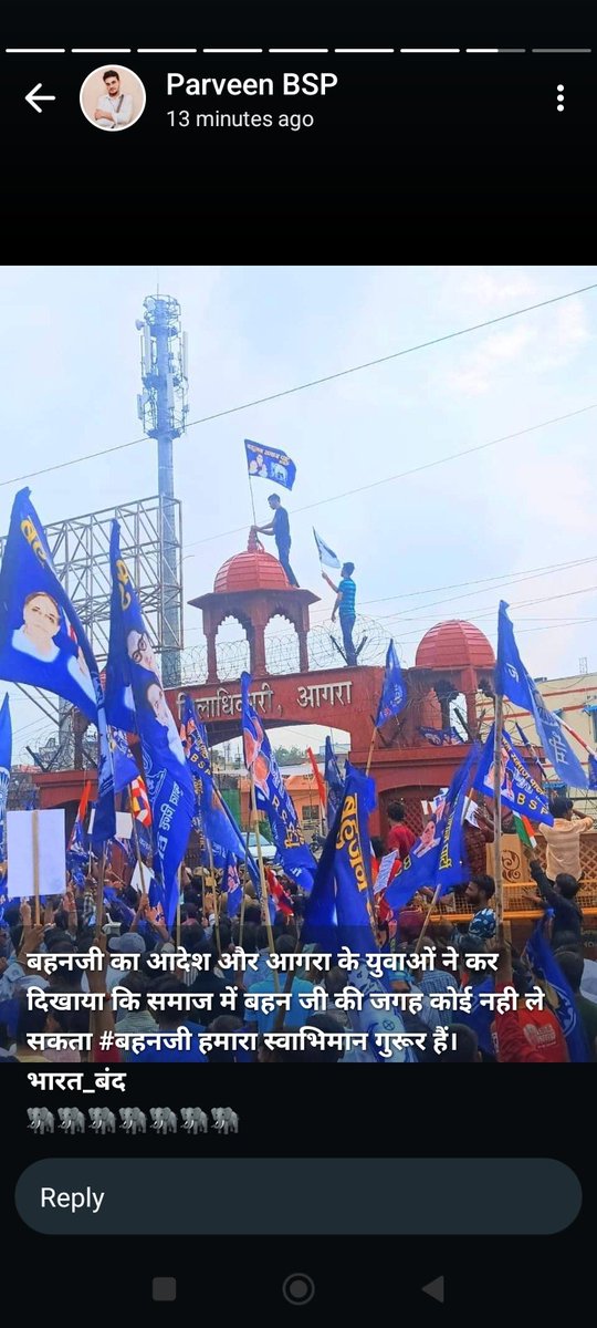 PandeyR_O2025O's tweet photo. भारत बंद के नाम पर नीला आतंक फैला दिया है इन नीले आतंकवादियों ने।

#भारत_सरकार
#Ban_ScSt_Act 
#आरक्षण_मुक्त_भारत_हो https://t.co/9iALLwCCO4
