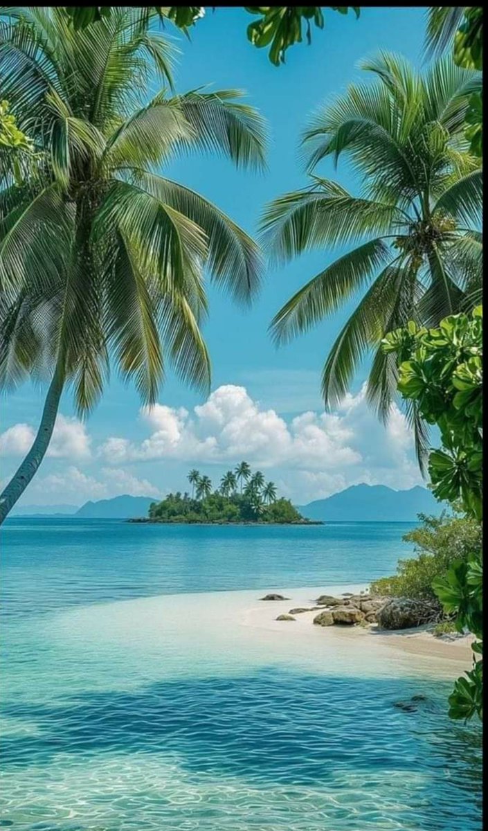 Have a beautiful day 🌴😎🌴