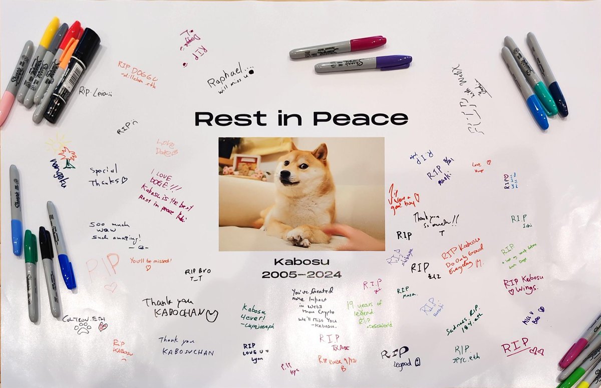 Tribute to Kabosu 💔 <a href="/DAO_TOKYO_XYZ/">DAO TOKYO ⛩🇯🇵 | 21-22 AUG 2024</a>