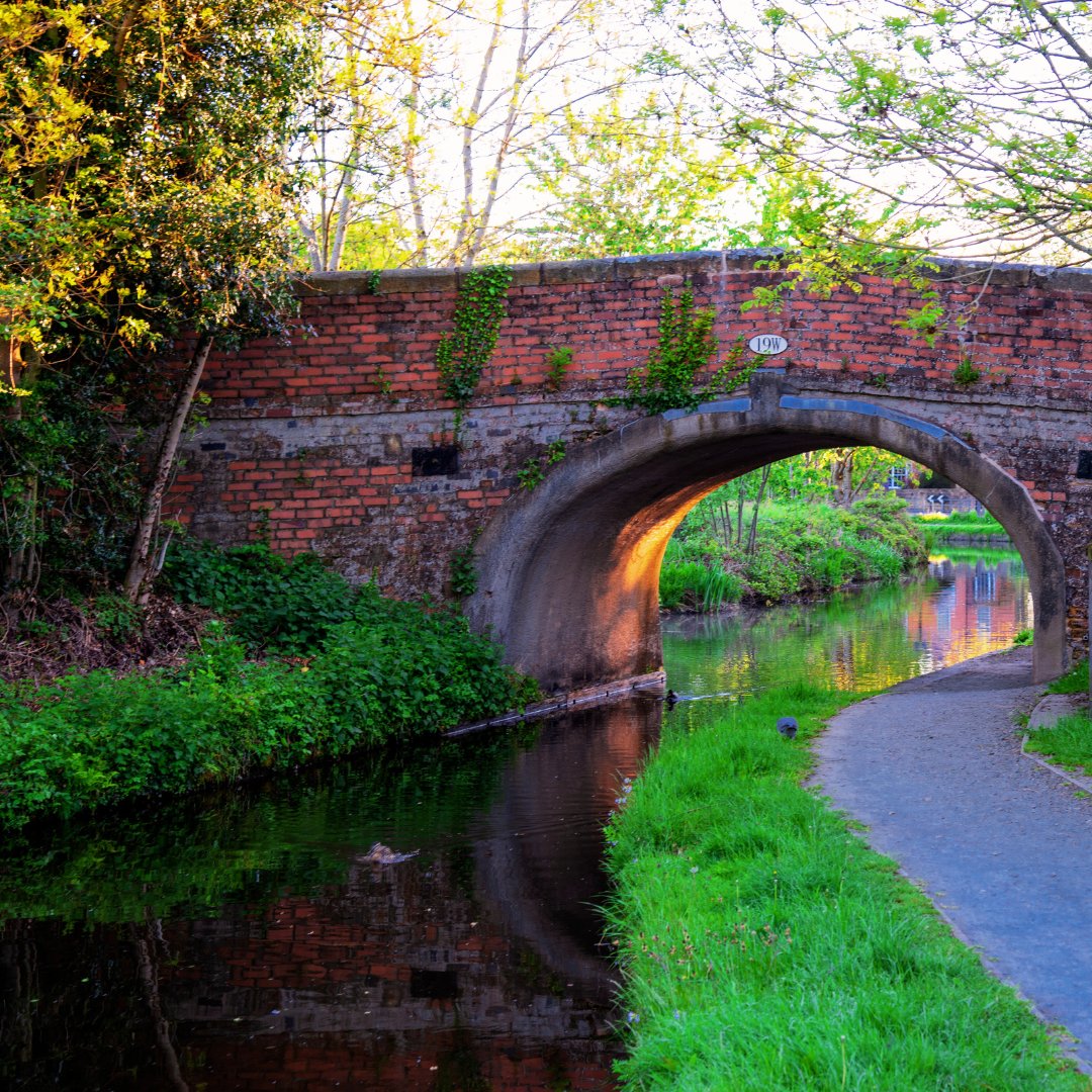 3CountiesCCRP's tweet photo. ๐ฅพSaturday, 24 August, @RailRambles are leading a 6 miles #CircularWalk from #Gobowen railway station via #LlangollenCanal, Weston Rhyn. Departing #Shrewsbury on the @transport_wales service at 09:27 arriving at Gobowen 09:44. Join this beautiful walk ๐ฒ https://t.co/cQq5i08RPP https://t.co/qHUYtfKl1W