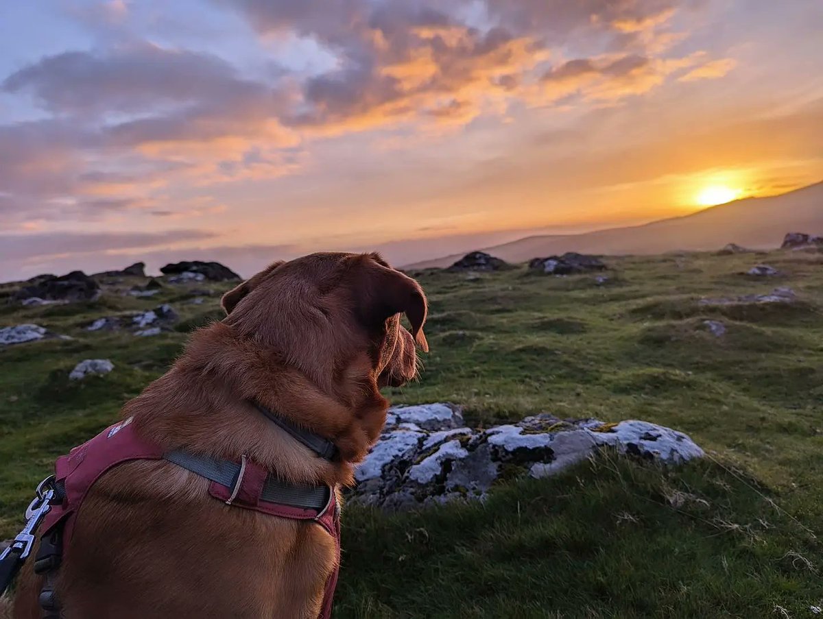 Rebecca Spence tweet media