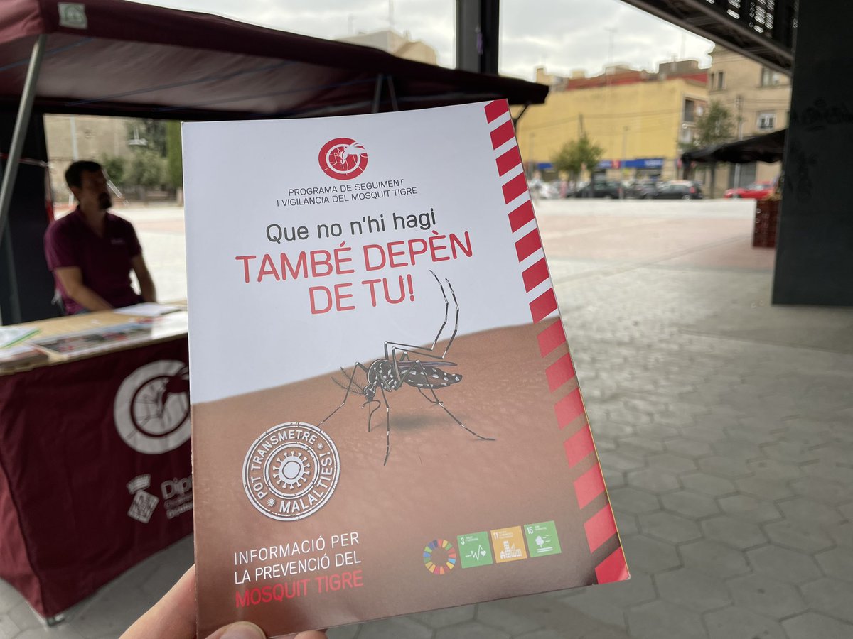 ajfigueres's tweet photo. 🦟 Aquest matí, al Mercat de la fruita i la verdura, a la plaça Catalunya, trobareu un estand informatiu sobre el mosquit tigre. Allà us explicaran què podem fer per evitar-ne la presència. 

🗣️ Hi seran fins a la 1 del migdia. També trobareu informació a https://t.co/7Ptfw3K5RC https://t.co/H8zo14FsNY