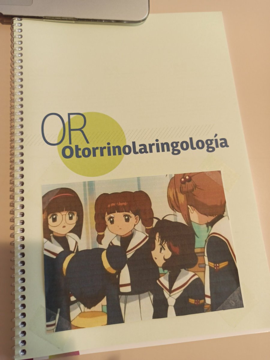 Safi 🍊🐿️ tweet media