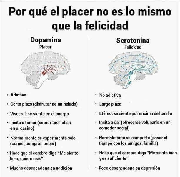 virginiog's tweet photo. La alegría y placer son emociones pasajeras que dan bienestar y creatividad y contrarrestan la respuesta psicológica de cortisol  

La felicidad es un estado más estable que no se debería asociar a "conseguir" cosas,  sino al equilibrio o serenidad https://t.co/Qq3onPeDYW