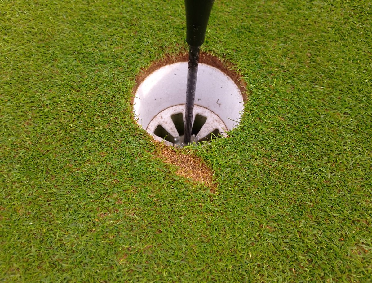 VLGC Greens tweet media