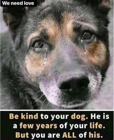 _XDogs's tweet photo. https://t.co/FsjOZgAYfK