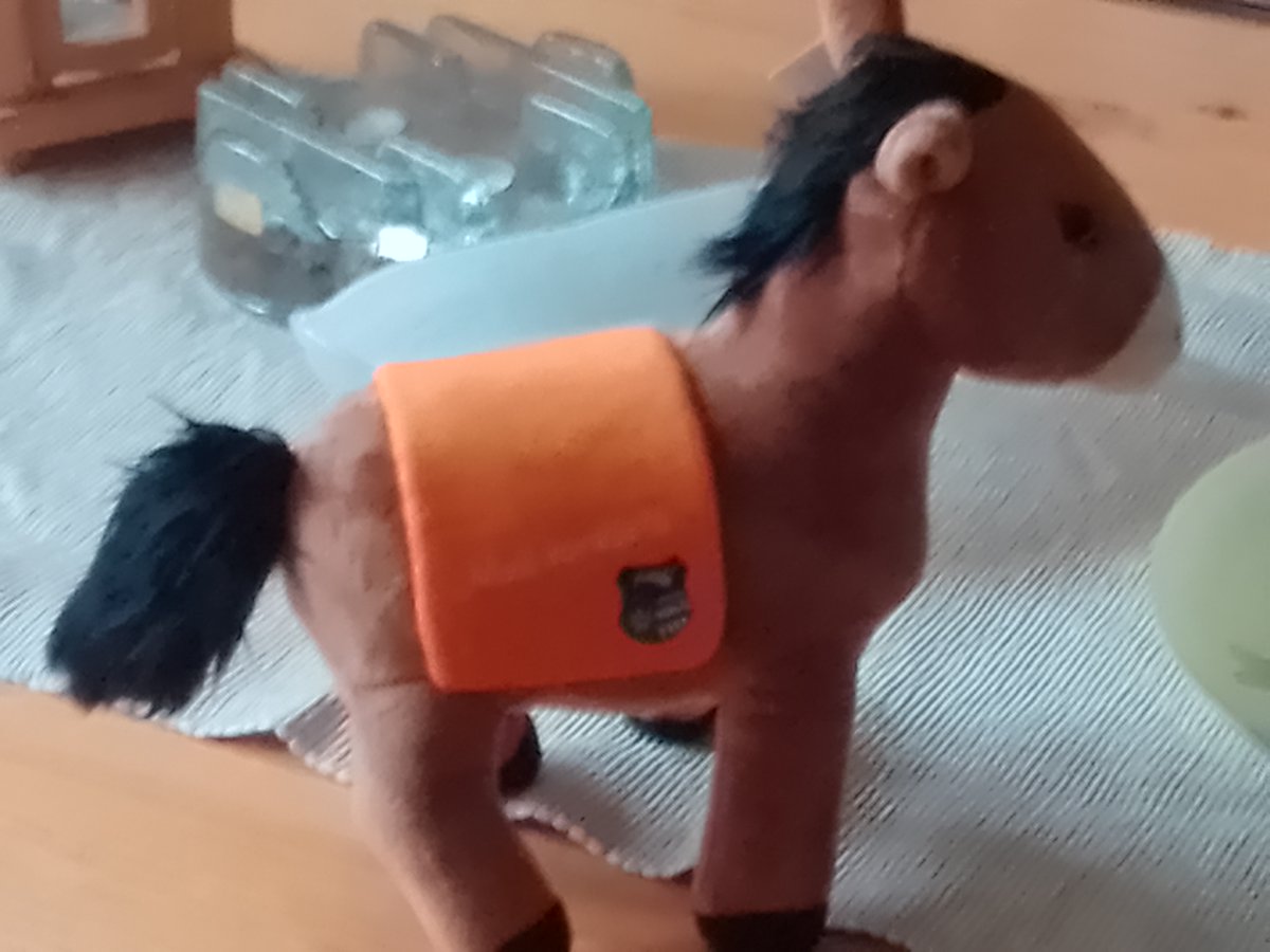 andreasfrey5's tweet image. Schönen #Robinsontag! Ich stell Euch mal unseren neuen #Kameraden vor, #Manni