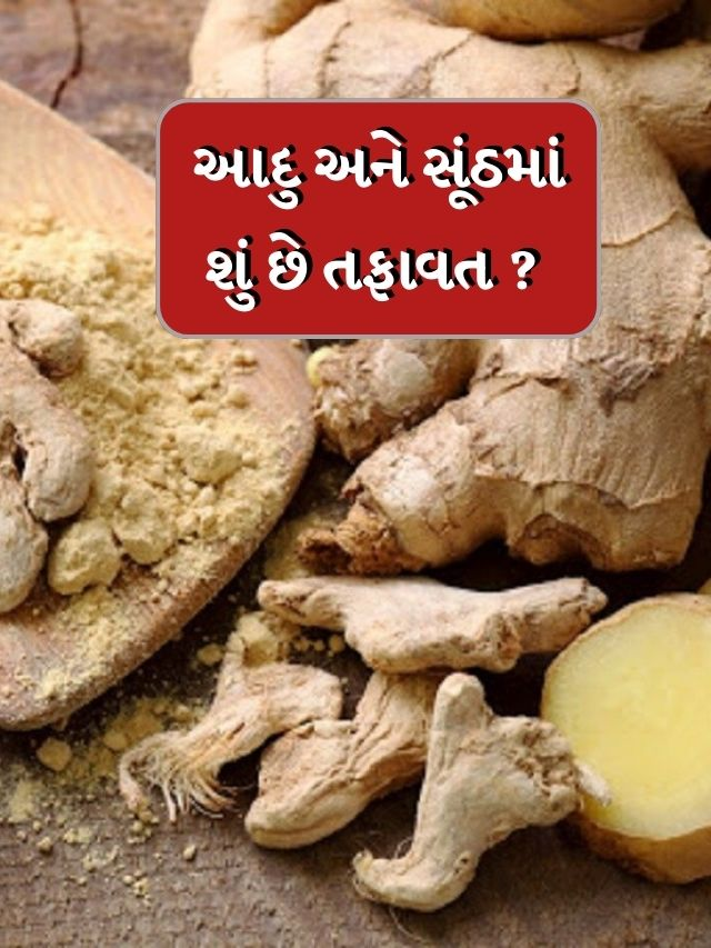 tv9gujarati's tweet photo. જાણો આદુ અને સૂંઠમાં શું છે તફાવત
#ginger #drygingerpowder #healthtips #HealthNews
https://t.co/xgzt6xxB08 https://t.co/y8X4NsiojG