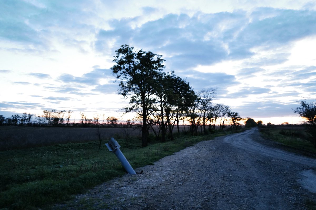 Lars Lyrefelt tweet media