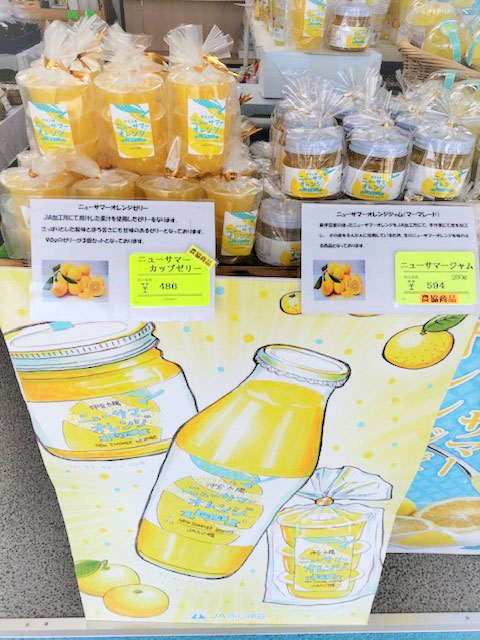 🍊人気商品がポスターに🍊／ 下田市のイラストレーターTUTiさんが描い
