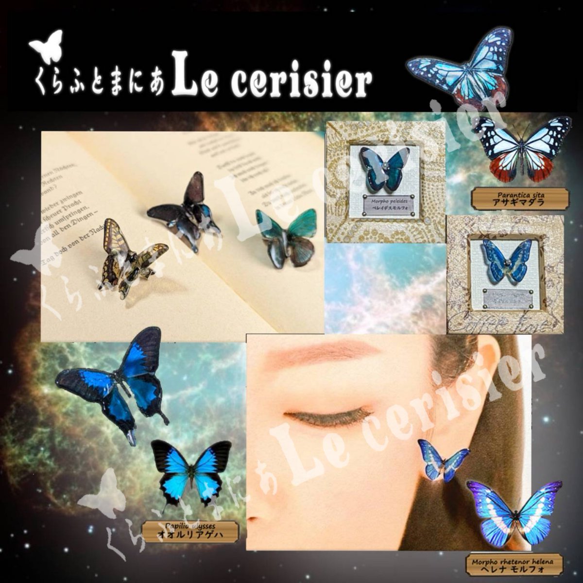 MarronTree's tweet image. こんなの作ってる人です

めんたまとか実在の蝶々とか大きなどんぐりとか色々と……
方向性とかなに？な人ですw

くらふとまにあ Le cerisier

#ハンドメイド
#ハンドメイド好きさんと繋がりたい 
#目玉アクセサリー
#蝶々アクセサリー
#どんぐりアクセサリー
#ハンドメイドアクセサリー