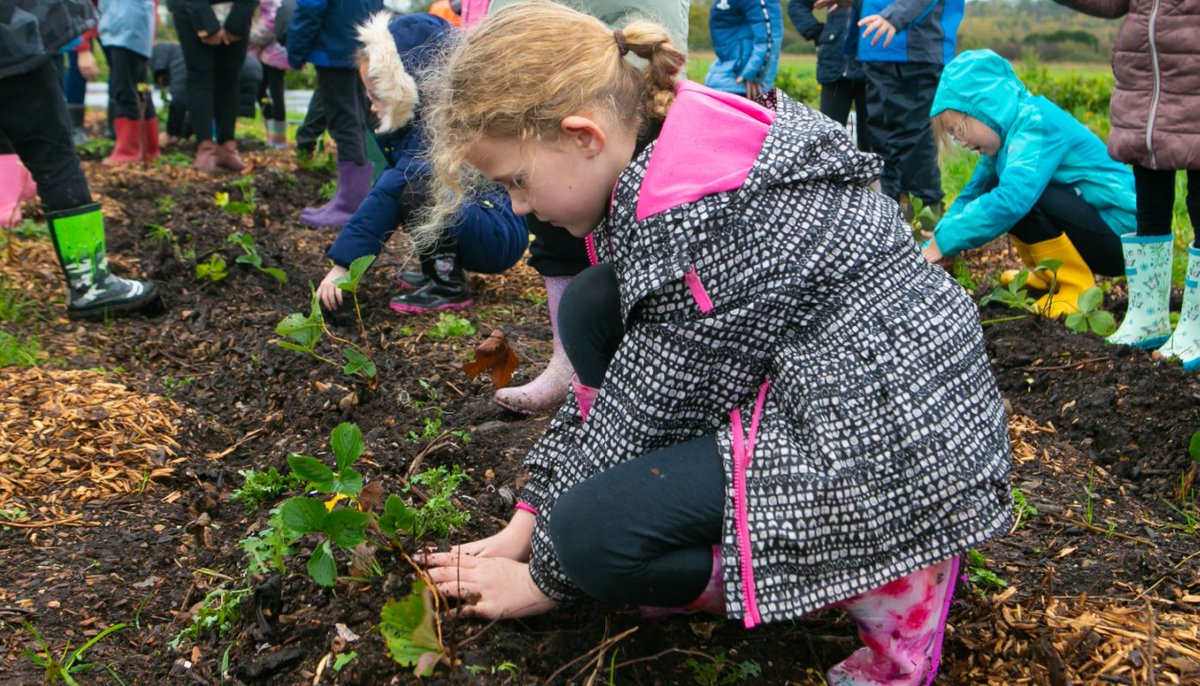 Imagine? Who'd have thought?

In this week's Guardian ...

"Primary school pupils should have the opportunity to knead bread dough, dig in the soil, plant vegetables and play with shadows as part of their early science education, according to the new recommendations."