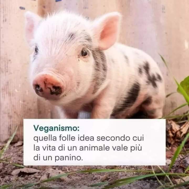Bruna Monami (@brunaannamaria) on Twitter photo 