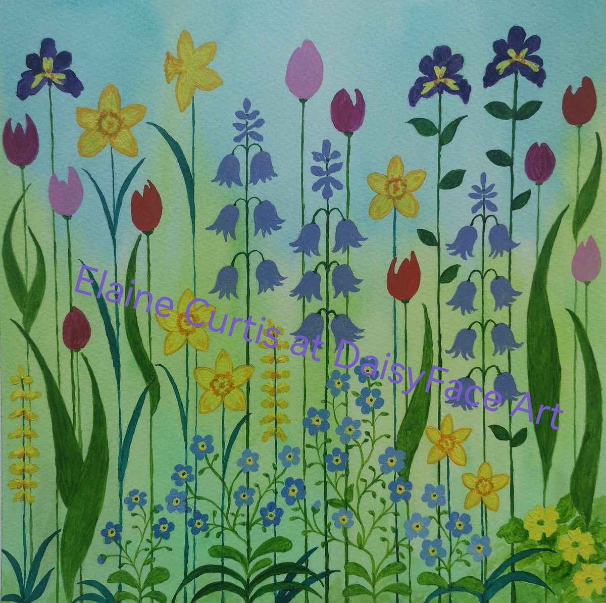 eacurtis65's tweet photo. These spring flowers will be winging their way to Australia in the coming weeks🪻🌷🌼 https://t.co/VMFUWk2ZHM