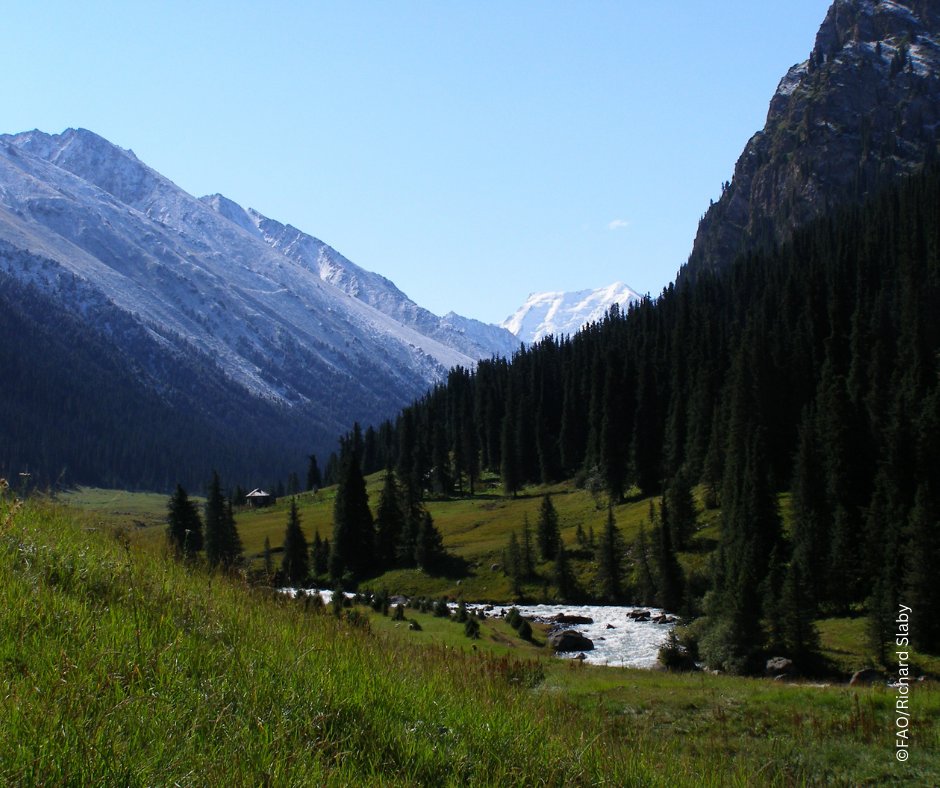 Did you know that forest🌳 and mountain⛰️ ecosystems serve as  source areas for more than 75 percent of renewable water supply?