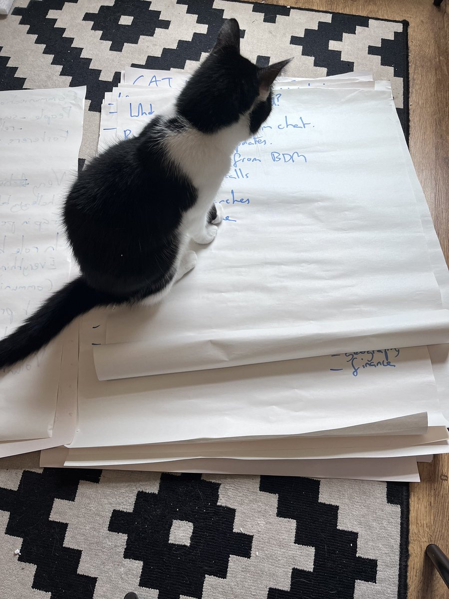 JoshFerronCP's tweet photo. When you are trying to type up notes from a #volunteer focus group session and your #cat is doing his best to stop you…
#WeWorkAsOne #Nuisance #BlackAndWhite https://t.co/ZTFuc1iFJp