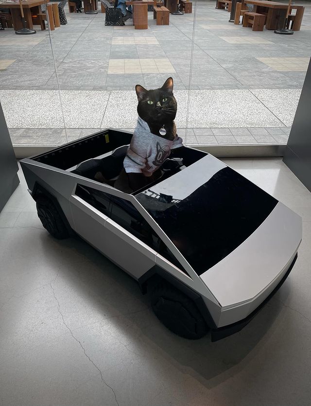 gmeow, all gold has been distributed to holders

thanks <a href="/PacmanBlur/">Pacman | Blur + Blast</a> and <a href="/blast/">Blast</a> for the culture allocation!