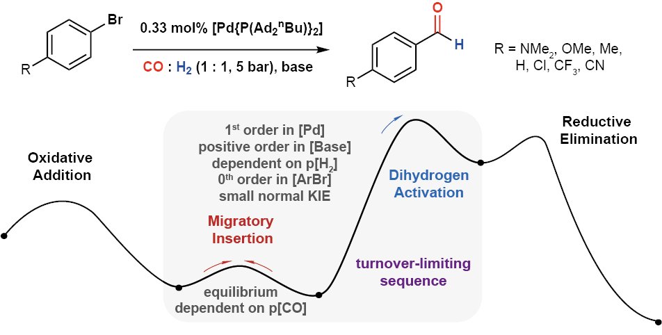 Gina Rai has a new <a href="/ChemRxiv/">ChemRxiv</a> preprint out using automation, kinetics and DFT calculations to gain a detailed understanding of the mechanism of Pd-catalysed formylation of aryl bromides. Here is the link: chemrxiv.org/engage/chemrxi…