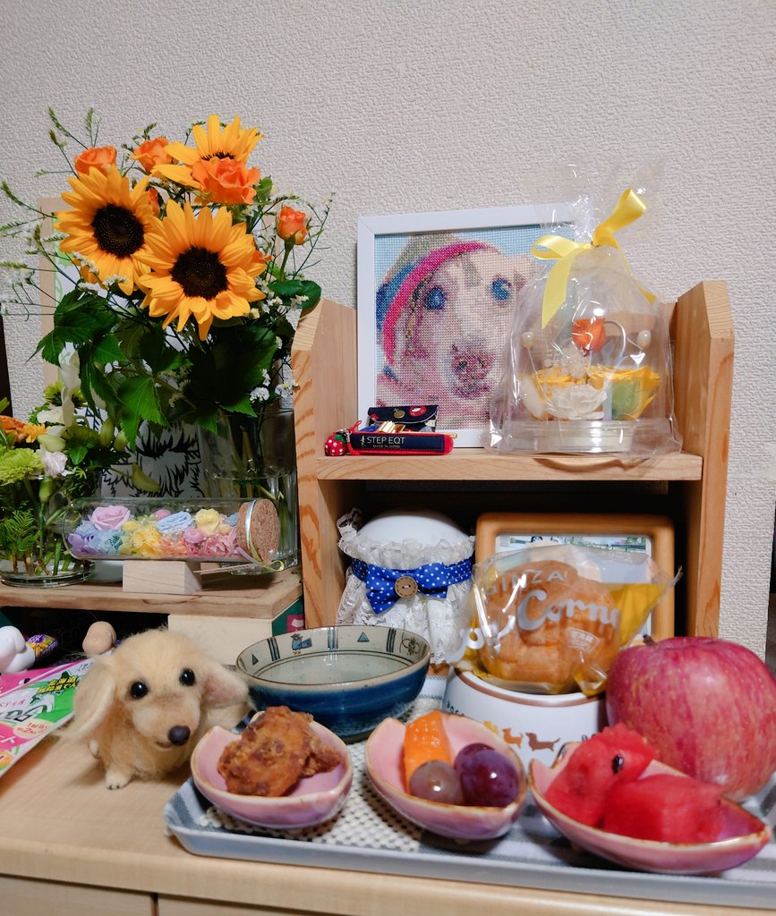 こーちゃん
四十九日
あっという間

いただいたメロンにぶどうご馳走だね　
大好きなすいかとりんごも買ってきたよ
からあげとシュークリームは　初めてだね
おいしくてびっくりするかもしれないね
ずっとご機嫌さんでえらかったこーちゃん
もっとなんでも食べさせてあげたらよかったね