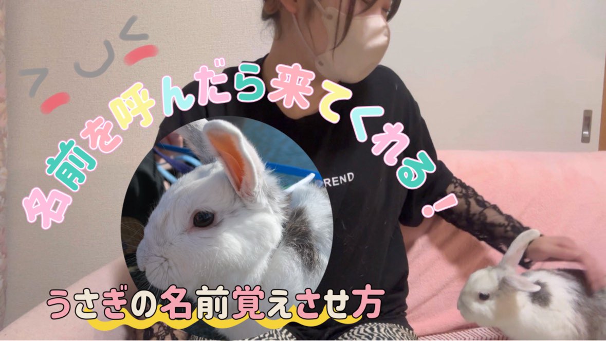 renimal_kingdom's tweet photo. 【誰でも出来る】名前を呼んだら走ってくるうさぎ🐰 https://t.co/eY6gpf4zZf @YouTubeより

うさぎ飼いさん必見です✨

チャンネル登録者数50人ありがとうございます🥹 https://t.co/QcU32TLTDg