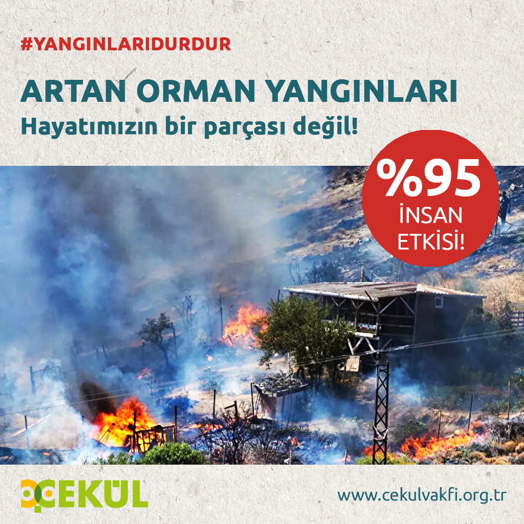 Artan orman yangınları hayatımızın bir parçası değil! 
İnsan kaynaklı orman yangınlarının oranını düşürmek için acil önlemler alınması gerekiyor. ÇEKÜL Vakfı Yönetim Kurulu Üyesi Prof. Dr. Ünal Akkemik bu önlemleri bir yazıda derledi: cekulvakfi.org.tr/makale/artan-o…

#YangınlarıDurdur