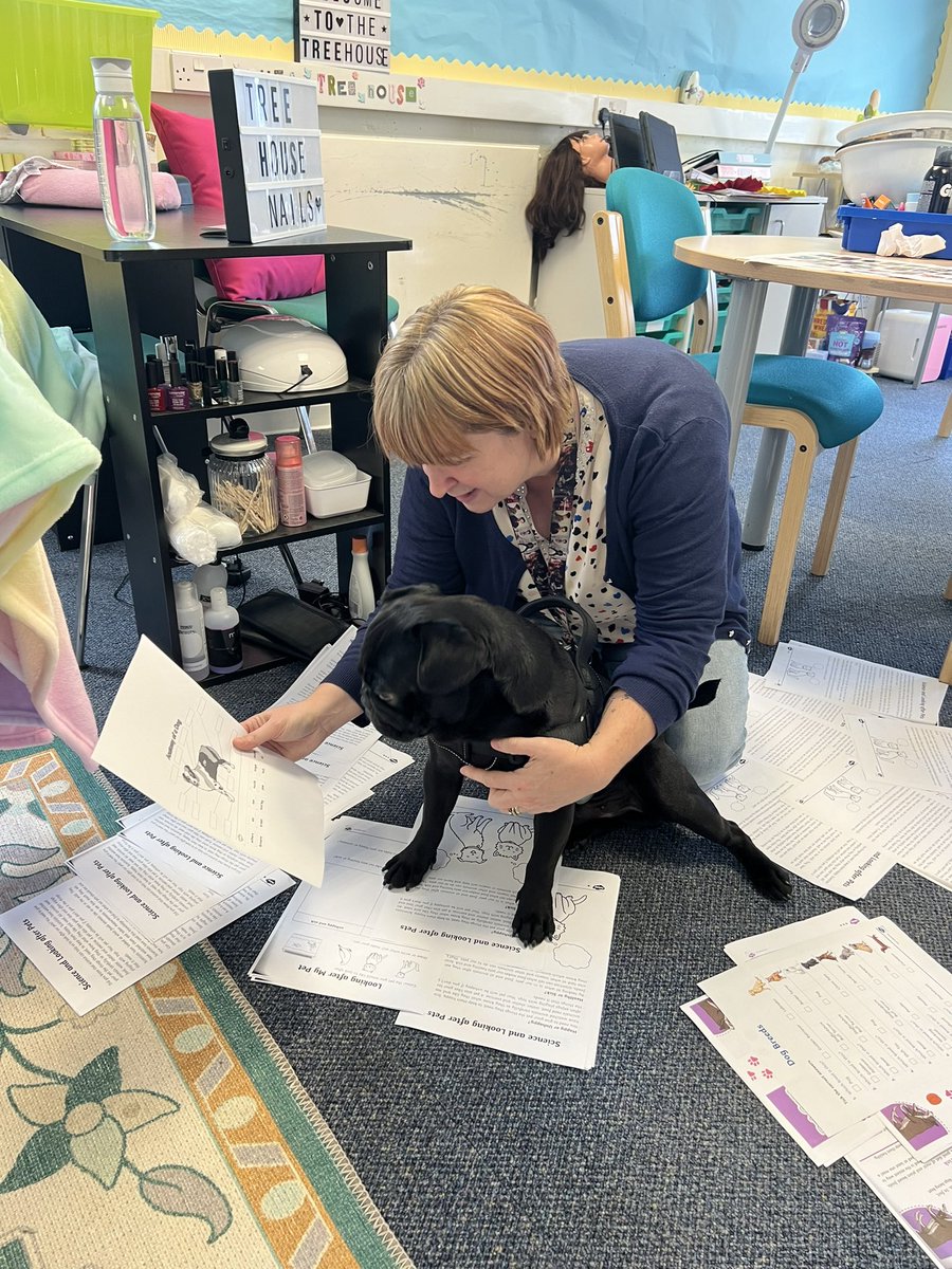Bertie was overseeing the <a href="/sqanews/">SQA</a> qualifications for animal care that will be starting next week across the whole service at <a href="/IWBSFalkirk/">Inclusion&Wellbeing</a>. 
He definitely approves 🐾

<a href="/outreach_iwbs/">SharonHutchinsonDHT</a> <a href="/YvonneFultonASN/">Yvonne Fulton</a> <a href="/DYW_ForthValley/">DYW Forth Valley</a> <a href="/ASNFalkirk/">Falkirk Council ASN Service</a>