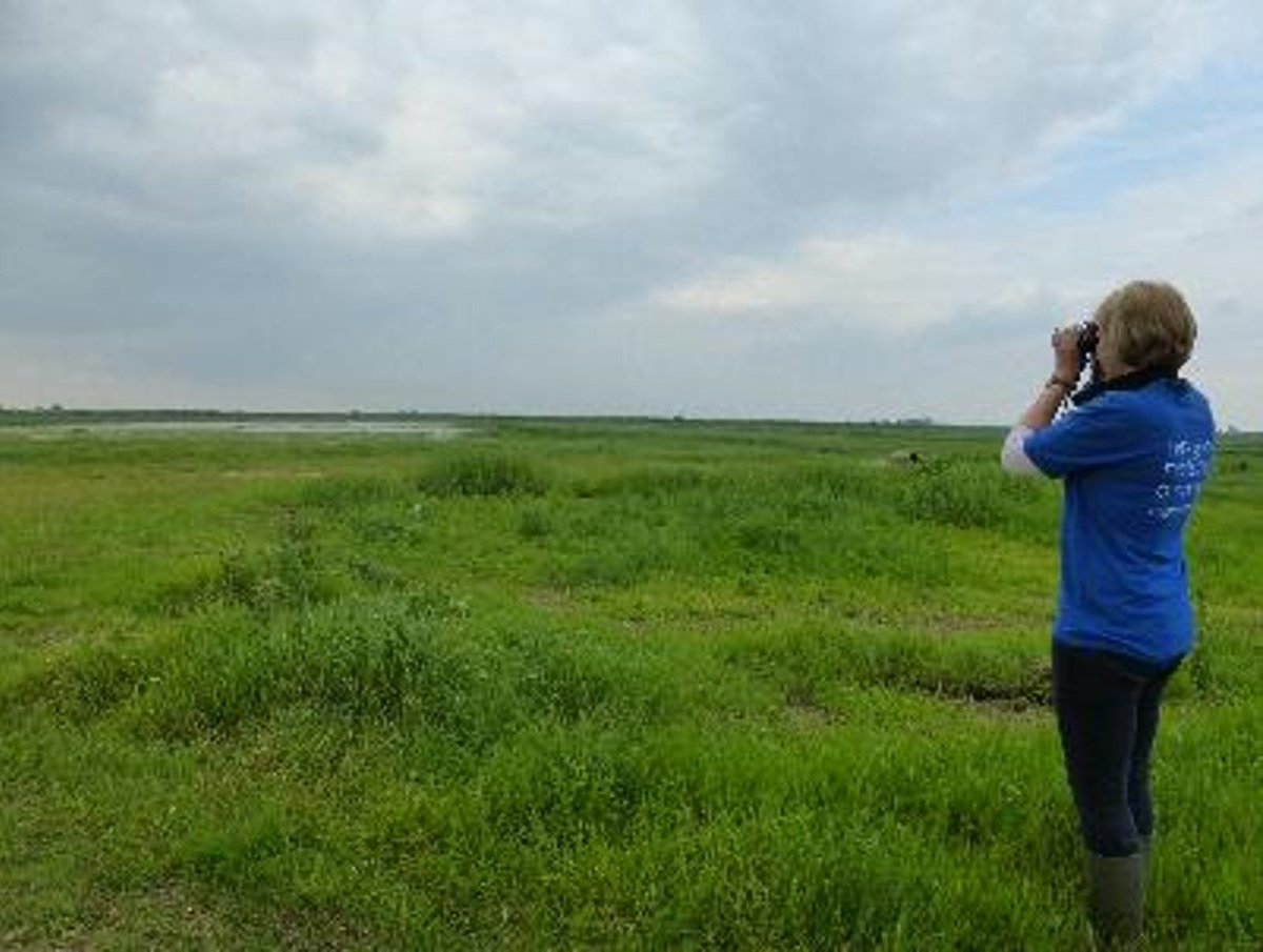 emily_upcott's tweet photo. Many thanks to @LucyRMason and @drredshank at @RSPBScience, our coauthors for their months of data collection, RSPB reserve staff, volunteers and landowners for their assistance, and to our funders @Natures_Voice and @NaturalEngland. Published in #BirdStudy @tandfonline 8/9 https://t.co/MYqaUBINk4