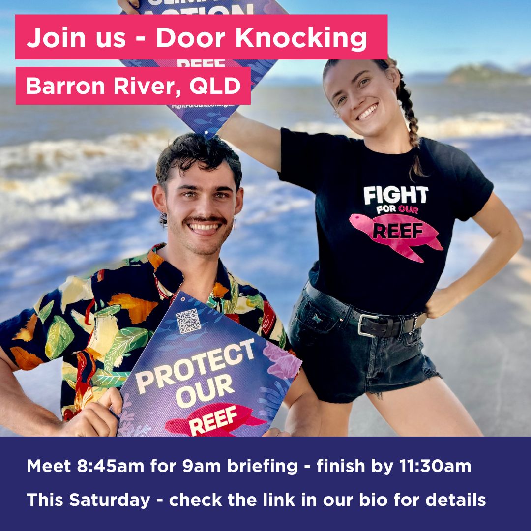 🪸 Reef lovers, we need you! Join the AMCS team this Saturday, August 24th, at Holloways Beach for a morning of action! We'll knock on doors, share campaign signs, and collect signatures for our letter to local candidates. Register here: bit.ly/3MgyAn9