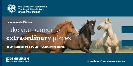 #EquineOrthopaedics course starts September. Interested in anatomy and injury? Apply now to <a href="/EdinburghUni/">The University of Edinburgh</a> via our standalone PPD buff.ly/3q3OfyQ or PGCert/PGDip/MSc   edin.ac/msc-equine-sci… routes. #EdinburghOnline #horses #EquineScience