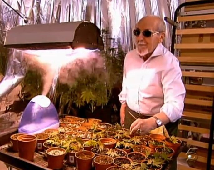 Francescorcd's tweet image. Don Julián tiene más grandeza que varias temporadas de Aquí no Hay Quien Viva.