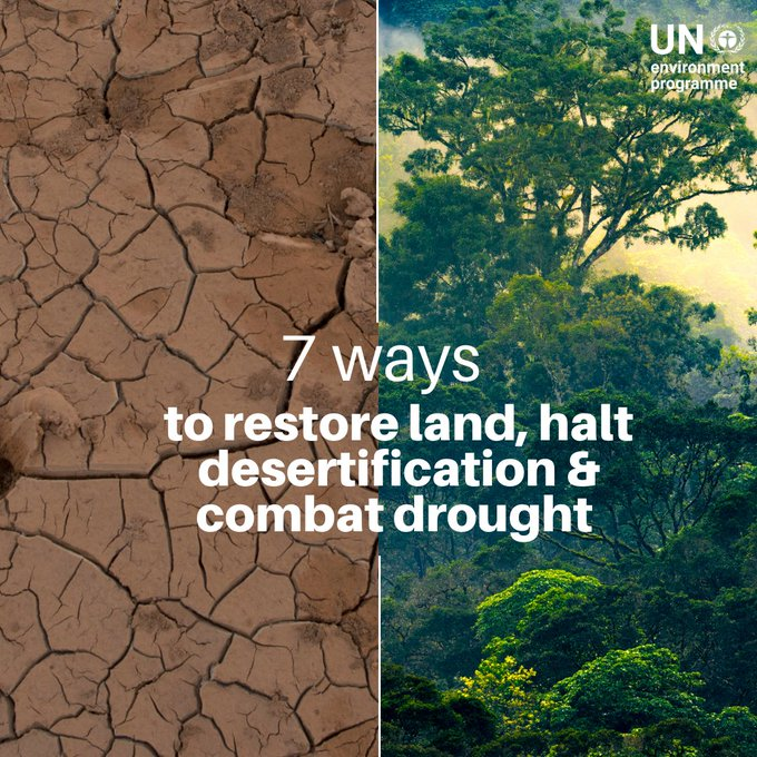 Land sustains life on Earth, but with 2 billion hectares being degraded, 3 billion people are impacted.   

See 7 ways to restore these vital landscapes and combat desertification and drought: unep.org/news-and-stori…

Via <a href="/UNEP/">UN Environment Programme</a>