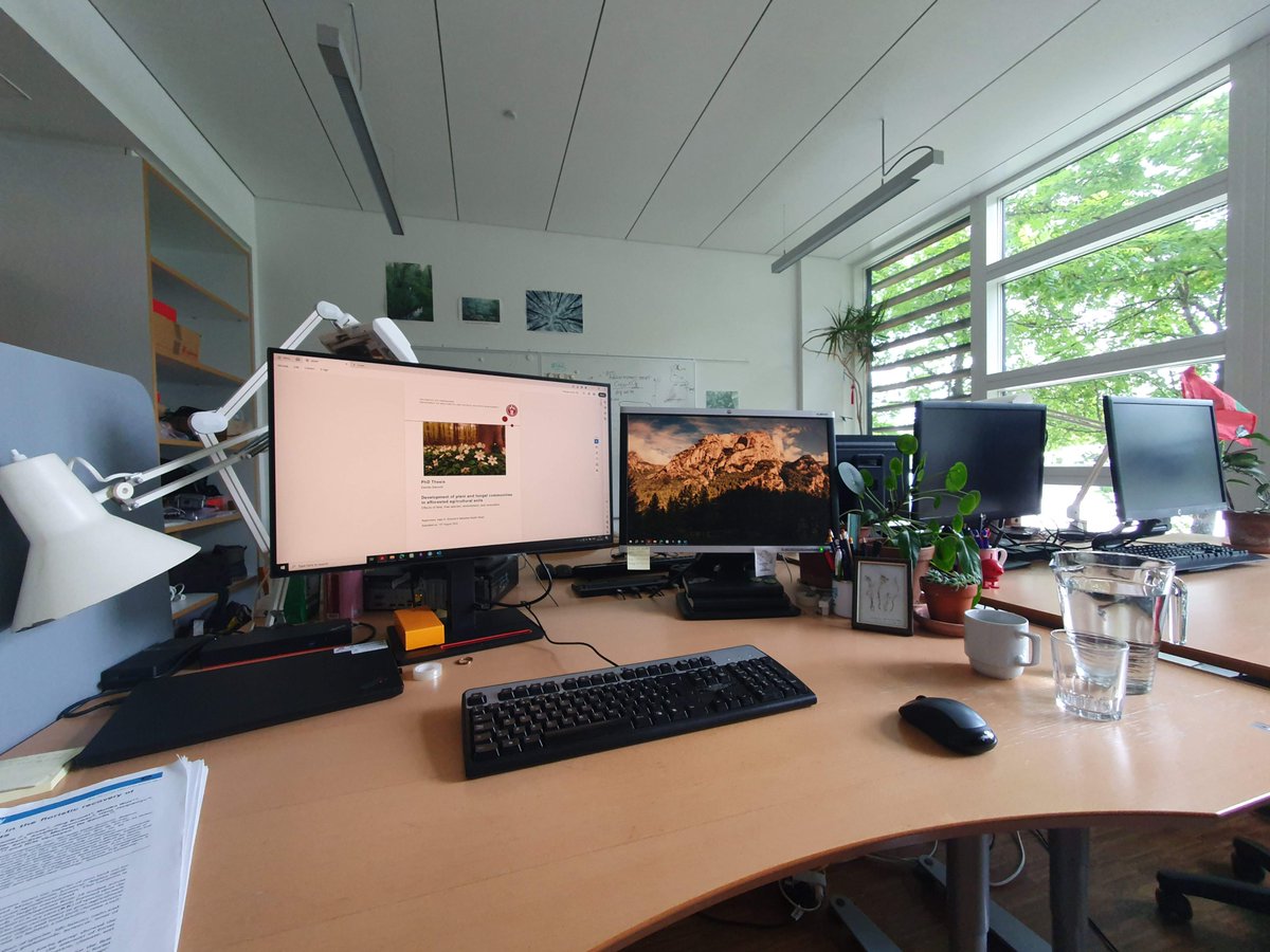 After 3 years of research on how forest plants 🌿 and fungi 🍄 recover in reforested agricultural areas, I just submitted my PhD! 🥳
Grateful to my supervisors and colleagues for their support. Next steps: publishing and preparing for my defense. #PhD #Reforestation #Biodiversity