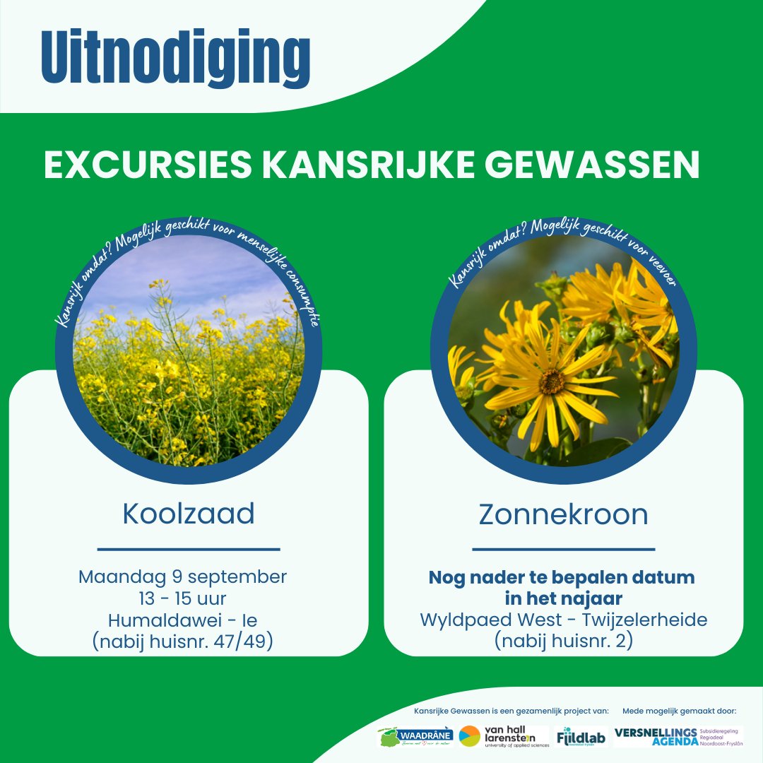 Op 9 september a.s. wordt een excursie georganiseerd naar het kansrijke gewas koolzaad. In het najaar volgt nog een excursie naar zonnekroon. Nieuwsgierig naar de teelt en verwachtingen van deze gewassen, kom dan langs en laat je informeren. Meer info: waadrane.frl/agenda