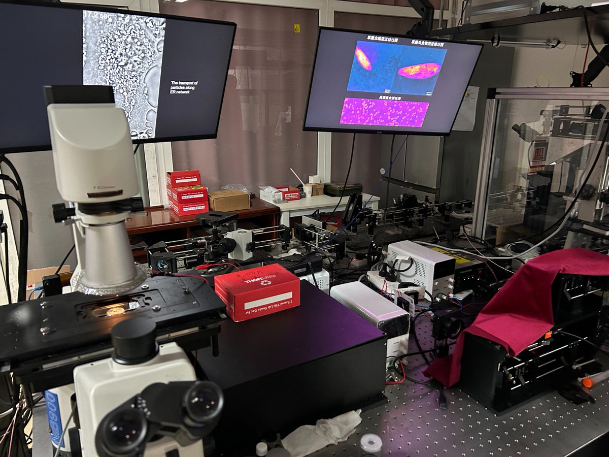 rayphotonics's tweet image. From August 20th to 23rd, Ray-photonics Co., LTD had the honor of participating in the Conference on Optoelectronic Detection and Imaging and Intelligent Sensing Technology, held in Xi&apos;an.
 #SpectralImaging #biomedical #Laser #FiberOptics #Sensing #Spectroscopy #opticalfilter