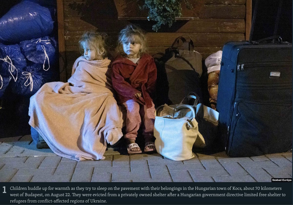 Szabolcs Panyi tweet media