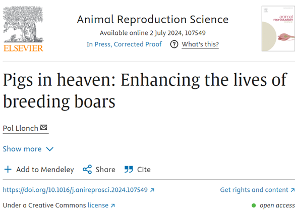 Today I presented a review at the Boar Semen Preservation conference boarsemen2024.com, on the possibility to improve the welfare of breeding boars by promoting positive welfare. I hope this is just another small step to improve 🐷 welfare.