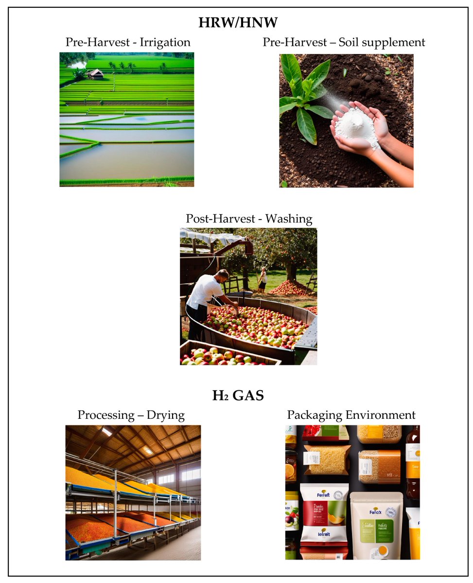 📢 Read our Review paper
📚 How Hydrogen (H2) Can Support Food Security: From Farm to Fork
🔗 mdpi.com/2076-3417/14/7…
👨‍🔬 by Mrs. Grace Russell et al.
#hydrogen #foodsafety