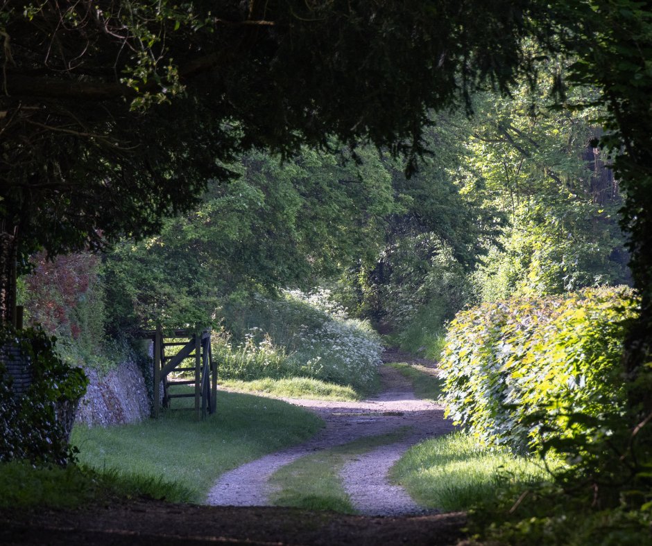 No Group Walk This Sunday—Explore the Chilterns at Your Own Pace!

With no guided walk this Sunday due to the bank holiday, it’s the perfect time to embark on your own adventure in the Chilterns with our selection of downloadable walks.

Take a look here 👉bit.ly/3OVcCIl