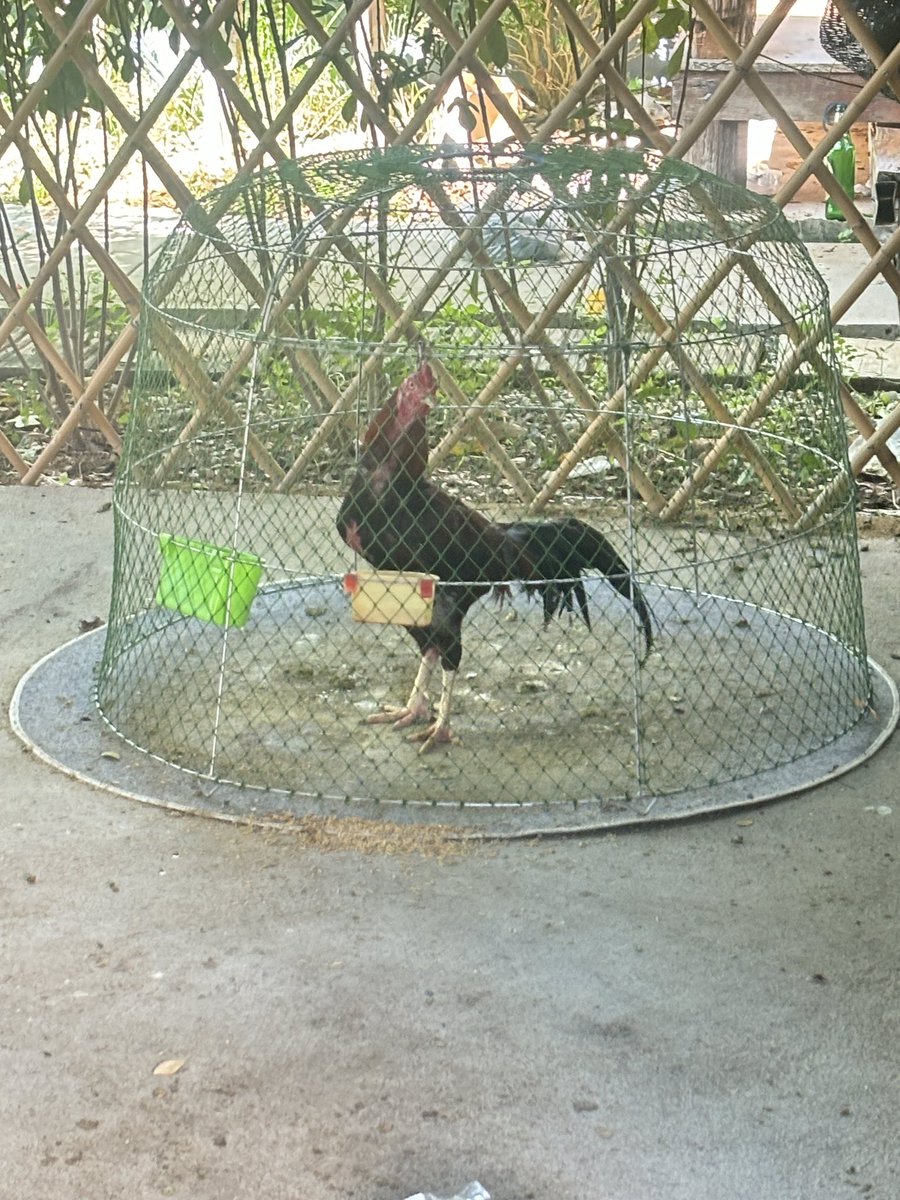 วิธีของฉัน เวลาว่าง #ชัยนาท #มาเดี๋ยวก็ไป