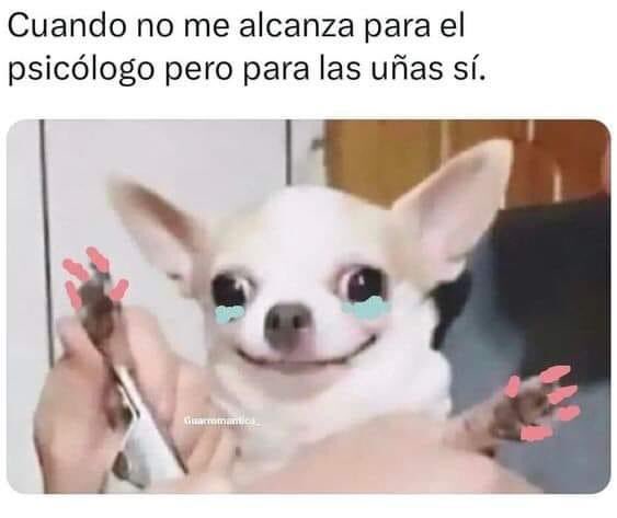💅🐶