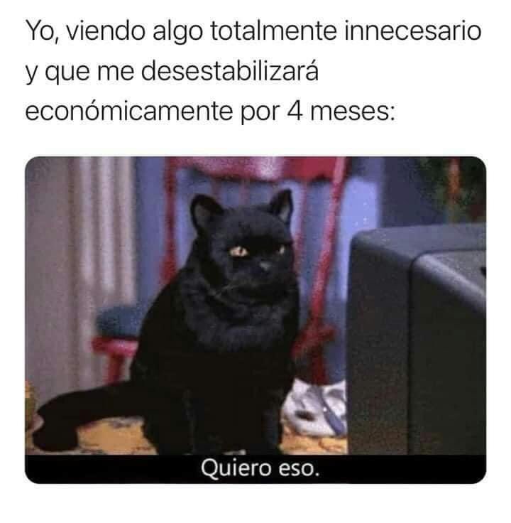 nacional_memes's tweet photo. Si soy 💅🐶 https://t.co/6nOGU18jUM