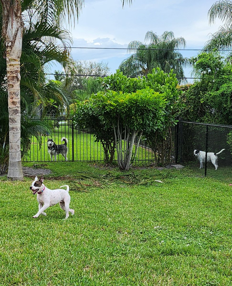 That post-adoption snooze 😴

We just received these photos of Gigi living her best ADOPTED life! Clearly she's a relaxation expert with a very loving family. Happy Tails, Gigi! 🥳

We LOVE adoption updates! Got cute photos or a special story to share? Send us a message! 🧡