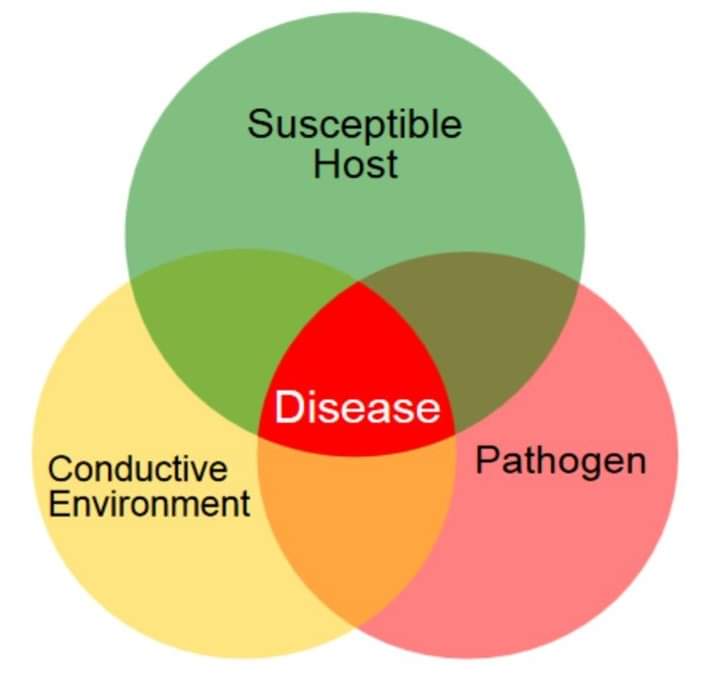 Did you know your leftover crop residue is a "green bridge" for pathogens and disease to infect your 2025 crop? 

Reach out to our team for help planning your residue strategy to set you up for success in 2025.

#plantdisease #cropdisease #farming #agronomy #planthealth