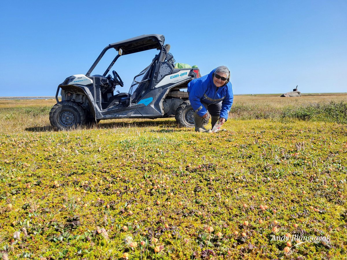 NWMB-Nunavut tweet media