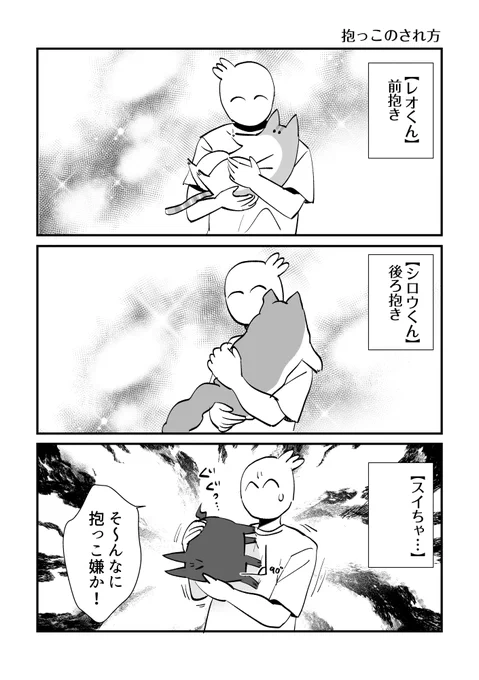 猫たちのそれぞれの抱かれ方 #秀さんちのゆるねこ日記 